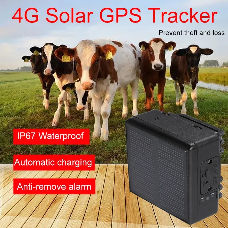 Animal Gps Tracker 4G Solar - RF-V26 เครื่องติดตาม GPS พลังงานแสงอาทิตย์ 2G ป้องกันการสูญหาย