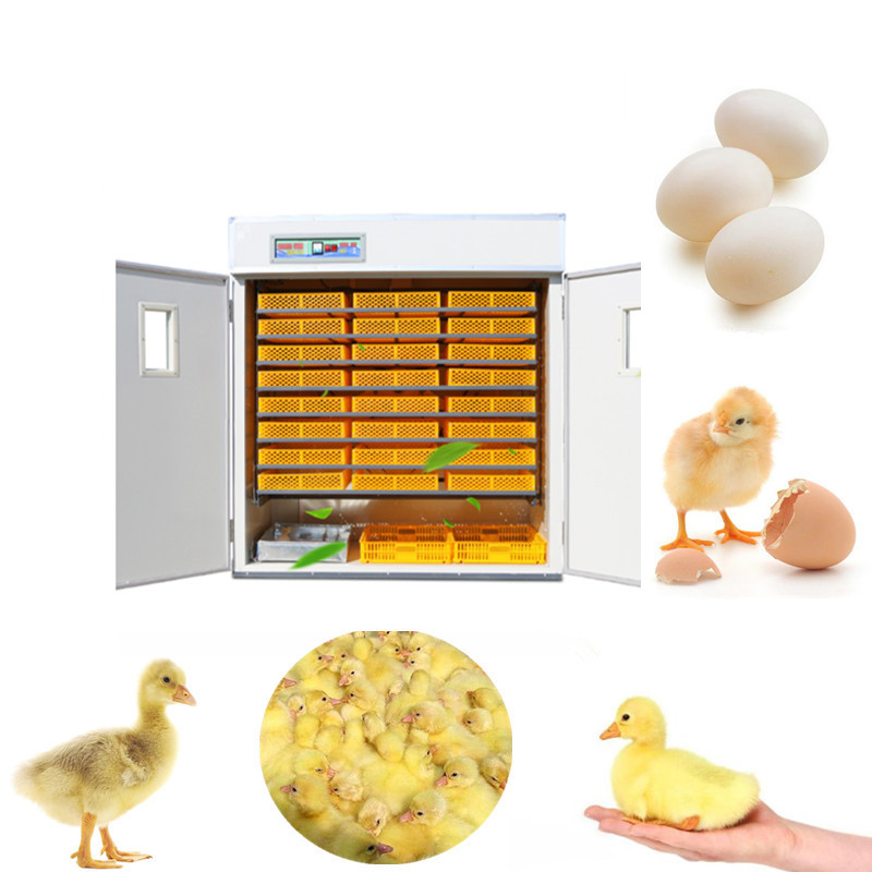 Poultry Incubator 96 Eggs - เครื่องฟักไข่อัตโนมัติ ควบคุมด้วยระบบดิจิทัล ตรวจสอบอุณหภูมิและความชื้น ความจุ 96 ฟอง