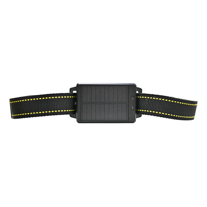 Animal Gps Tracker 4G Solar - เครื่องติดตาม GPS สำหรับสัตว์ขนาดใหญ่ ใช้พลังงานแสงอาทิตย์ 2G/4G กันน้ำ
