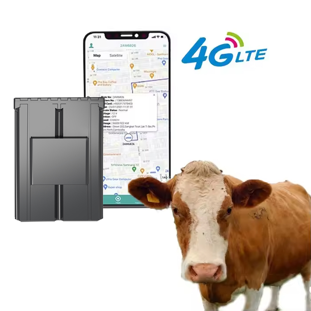 Animal Gps Tracker 4G Solar - เครื่องติดตาม GPS แบบติดหูสัตว์ สำหรับวัว แกะ อูฐ