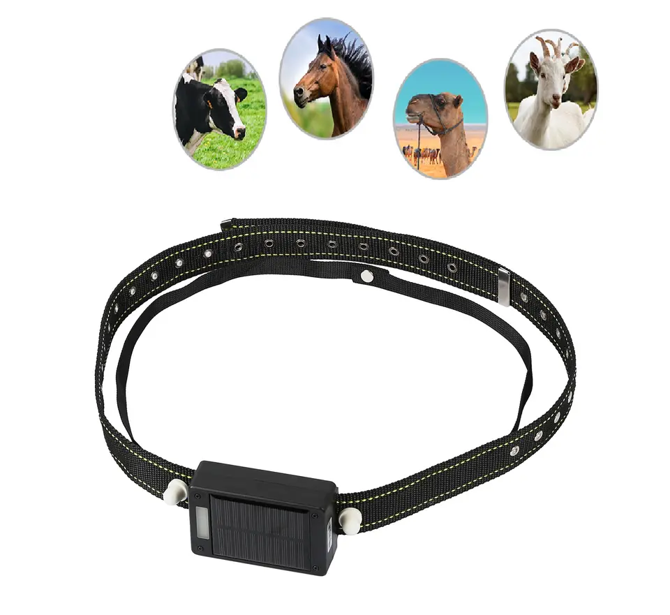 Animal Gps Tracker 4G Solar - แผงโซลาร์เซลล์ 10000mAh พร้อม GPS Tracker สำหรับสัตว์ขนาดใหญ่