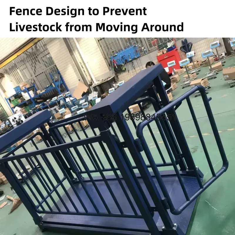 Cattle Weighing Scale Digital - Wmwmnu สำหรับอุปกรณ์การเกษตร เครื่องชั่งน้ำหนักดิจิทัลแบบตั้งพื้น แท่นชั่งน้ำหนักสัตว์ปีกและสัตว์เลี้ยง แท่นชั่งน้ำหนักปศุสัตว์