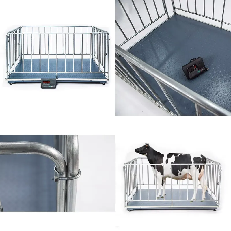 Cattle Weighing Scale Digital - เครื่องชั่งน้ำหนักแบบดิจิตอล 1 ตัน ราคาประหยัด พร้อมจอ LCD