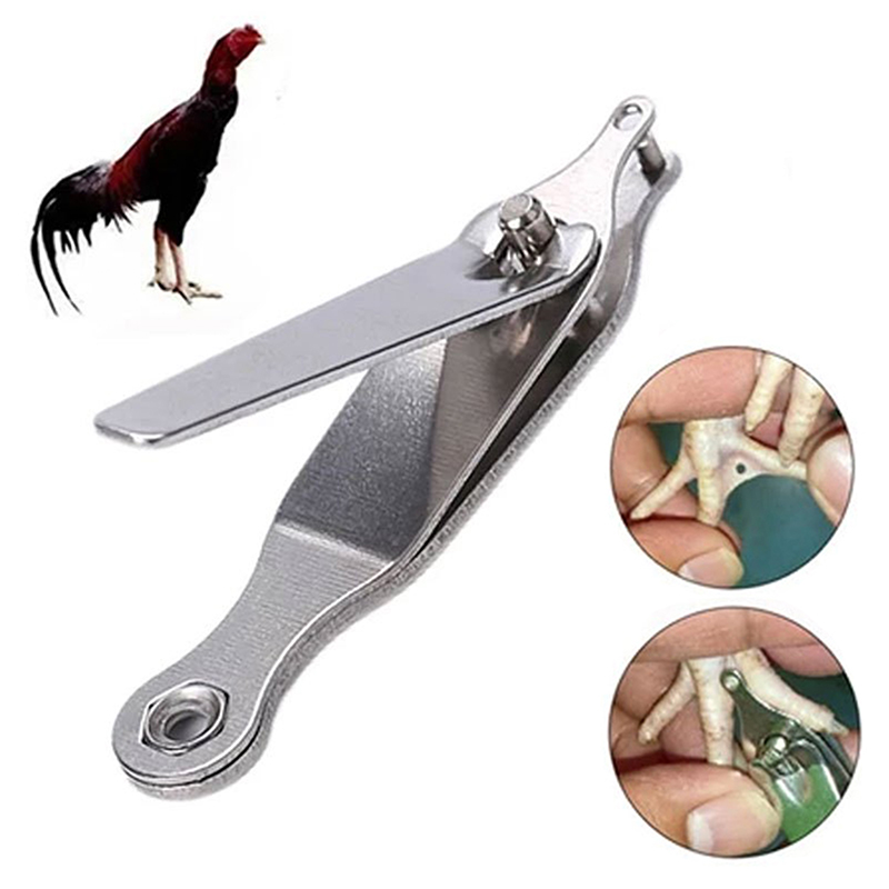 Cattle Ear Tag Applicator - เครื่องมือทำเครื่องหมายติดเท้าไก่ - อุปกรณ์ระบุตัวตนถาวรสำหรับลูกไก่ ลูกเป็ด และหนู สำหรับติดป้ายหูและทำเครื่องหมายที่เท้า·