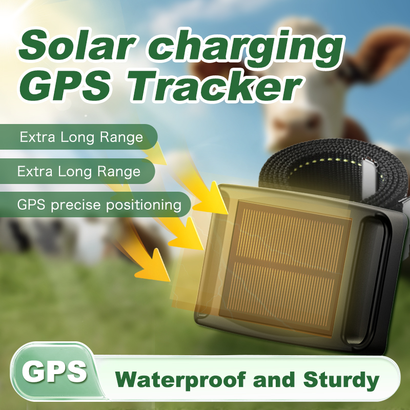 Animal Gps Tracker 4G Solar - เครื่องติดตาม GPS พลังงานแสงอาทิตย์ 20000mAh 4G สำหรับฟาร์มปศุสัตว์