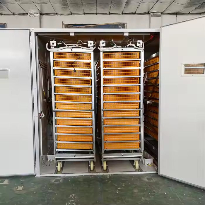 เครื่องฟักไข่อัตโนมัติสำหรับสั - Poultry Incubator 96 Eggs บทวิจารณ์และราคา