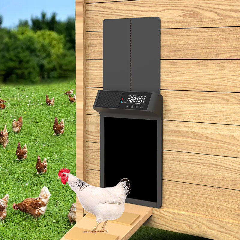 ประตูรั้วเลี้ยงไก่แบบใช้พลังงา - Automatic Chicken Door Opener Solar บทวิจารณ์และราคา