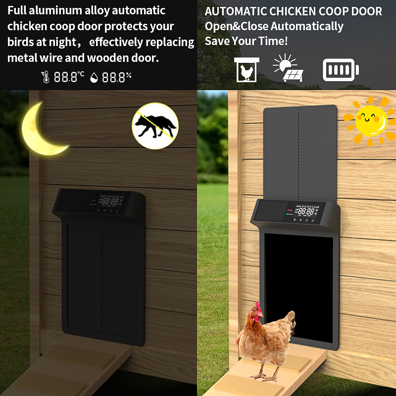 ประตูรั้วเลี้ยงไก่แบบใช้พลังงา - Automatic Chicken Door Opener Solar บทวิจารณ์และราคา