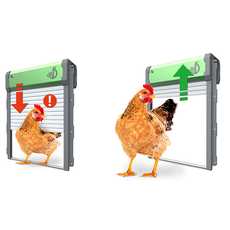 WONEGG แอปอัจฉริยะ เปิดประตูเล - Automatic Chicken Door Opener Solar บทวิจารณ์และราคา