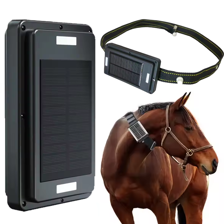 เครื่องติดตาม GPS แบบชาร์จพลัง - Animal Gps Tracker 4G Solar บทวิจารณ์และราคา