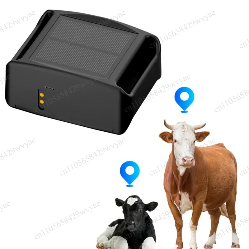เครื่องติดตามวัวแกะ 4G GPS, ชา - Animal Gps Tracker 4G Solar บทวิจารณ์และราคา