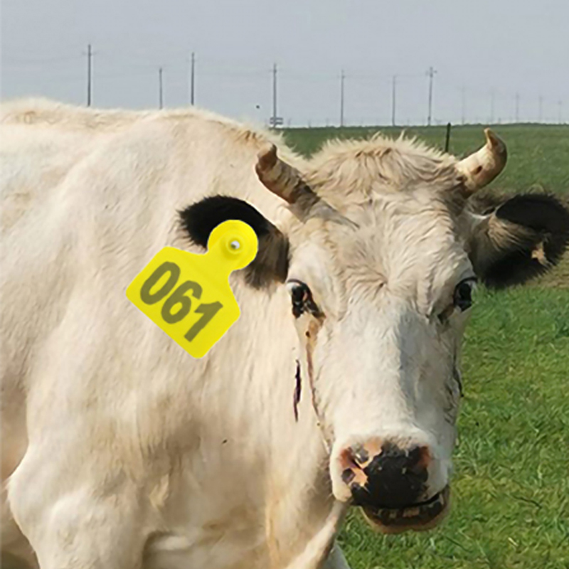 ป้ายพลาสติก TPU พร้อมหมายเลขสำ - Cattle Ear Tag Applicator บทวิจารณ์และราคา