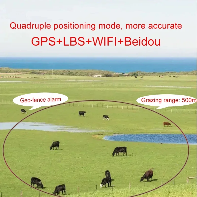 เครื่องติดตามสัตว์เลี้ยงแบบเรี - Animal Gps Tracker 4G Solar บทวิจารณ์และราคา