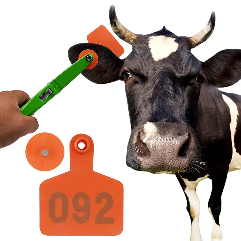 100 ชิ้นปศุสัตว์วัวแพะหูแท็กกา - Cattle Ear Tag Applicator บทวิจารณ์และราคา