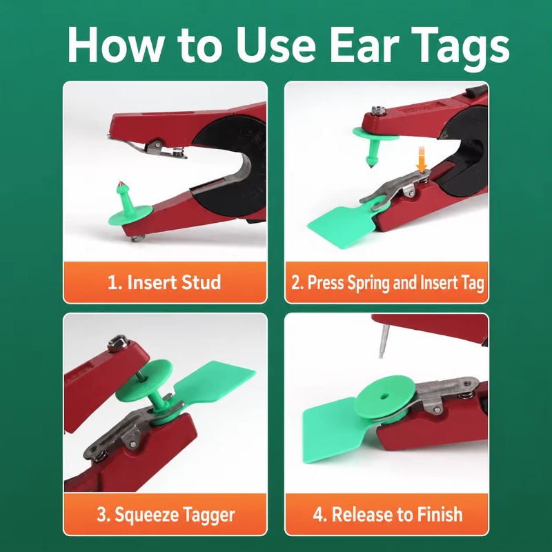 เครื่องติดแท็กหูสัตว์ RFID คุณ - Cattle Ear Tag Applicator บทวิจารณ์และราคา