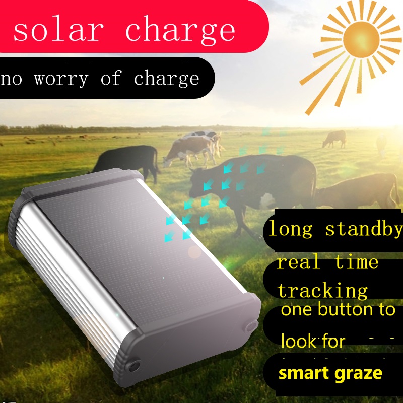 เครื่องติดตาม GPS 4G แบตเตอรี่ - Animal Gps Tracker 4G Solar บทวิจารณ์และราคา