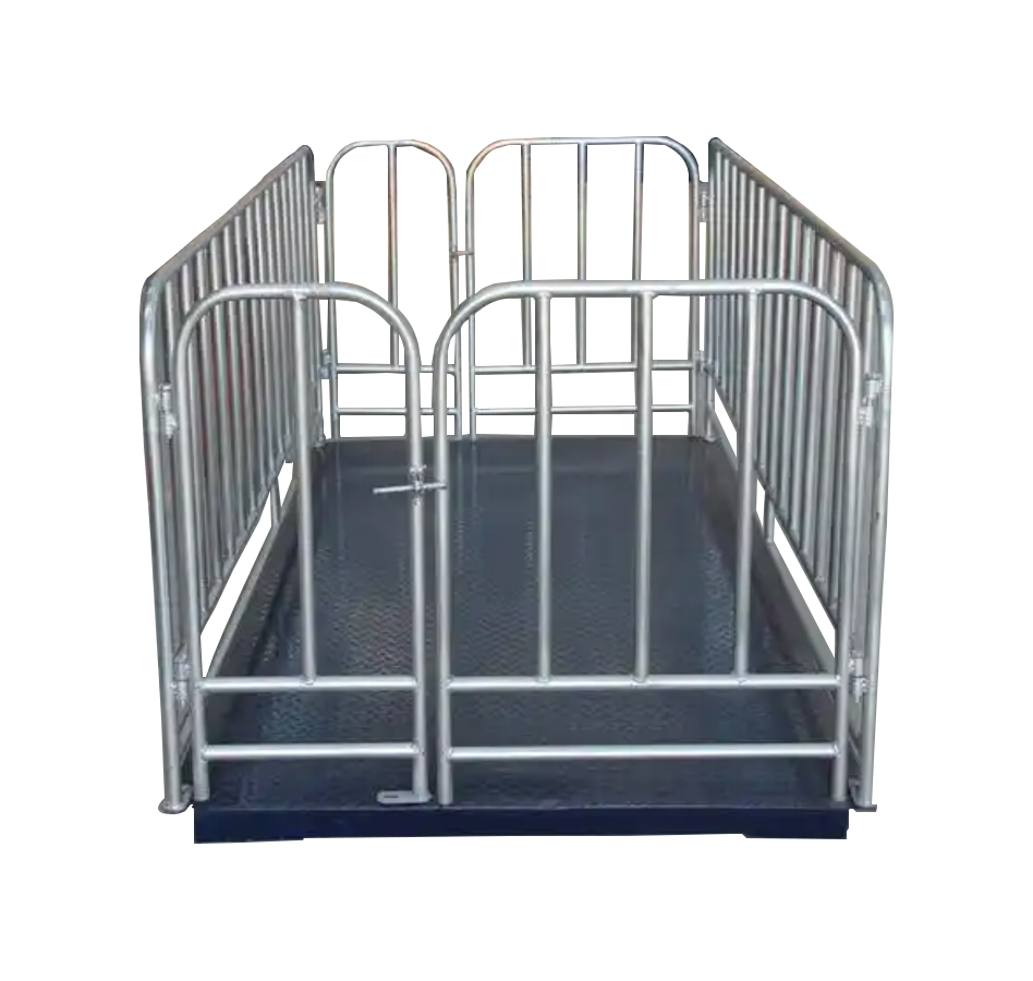เครื่องชั่งน้ำหนักสัตว์แบบดิจิ - Cattle Weighing Scale Digital บทวิจารณ์และราคา