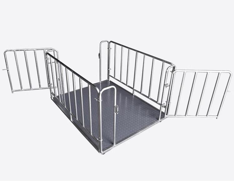 เครื่องชั่งน้ำหนักสัตว์แบบดิจิ - Cattle Weighing Scale Digital บทวิจารณ์และราคา