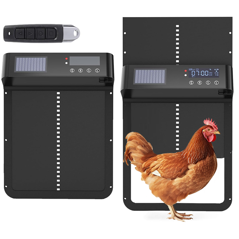 ประตูเล้าไก่หรูหราอัตโนมัติ ใช - Automatic Chicken Door Opener Solar บทวิจารณ์และราคา