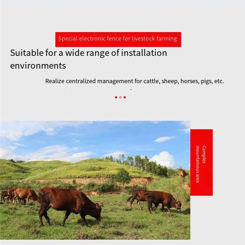 เครื่องจ่ายไฟรั้วไฟฟ้า AEE4-10 - Livestock Fence Energizer 12V บทวิจารณ์และราคา