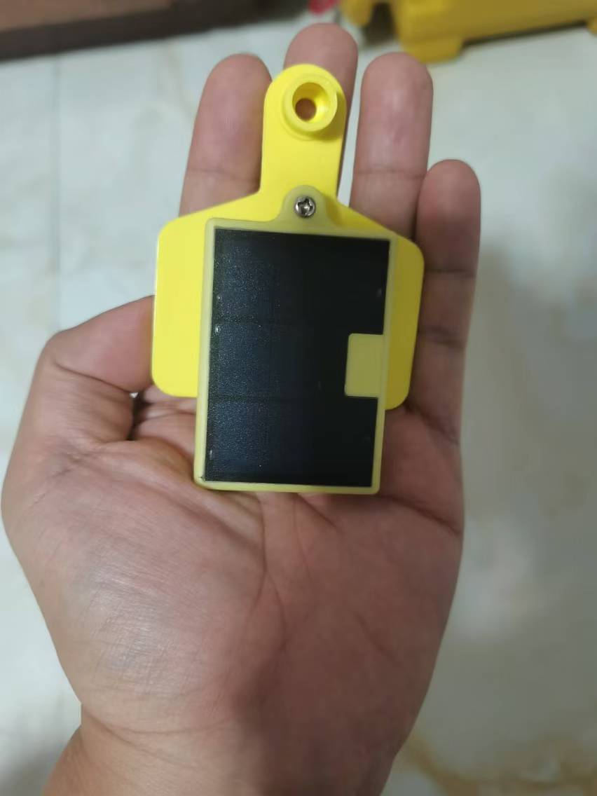 4G TBT300-1ติดตามหูสัตว์ปศุสัต - Animal Gps Tracker 4G Solar บทวิจารณ์และราคา