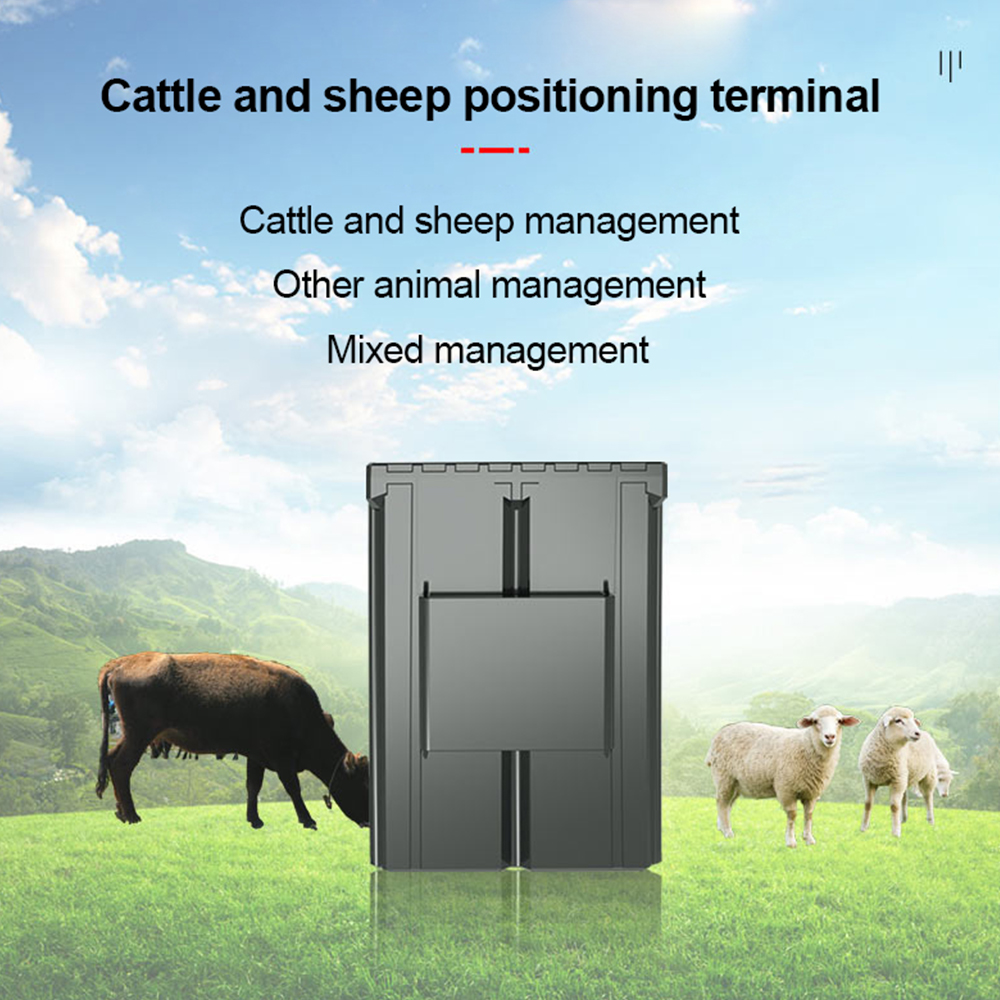 เครื่องติดตาม GPS แบบติดหูสัตว - Animal Gps Tracker 4G Solar บทวิจารณ์และราคา