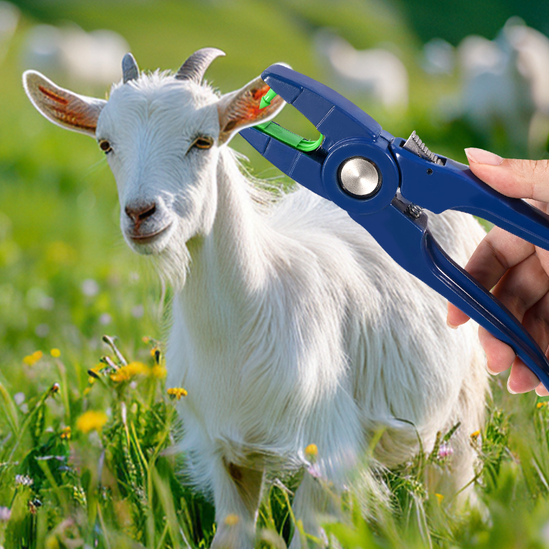แท็กหูแกะแบบรวม 100 ชิ้น/คีมติ - Cattle Ear Tag Applicator บทวิจารณ์และราคา