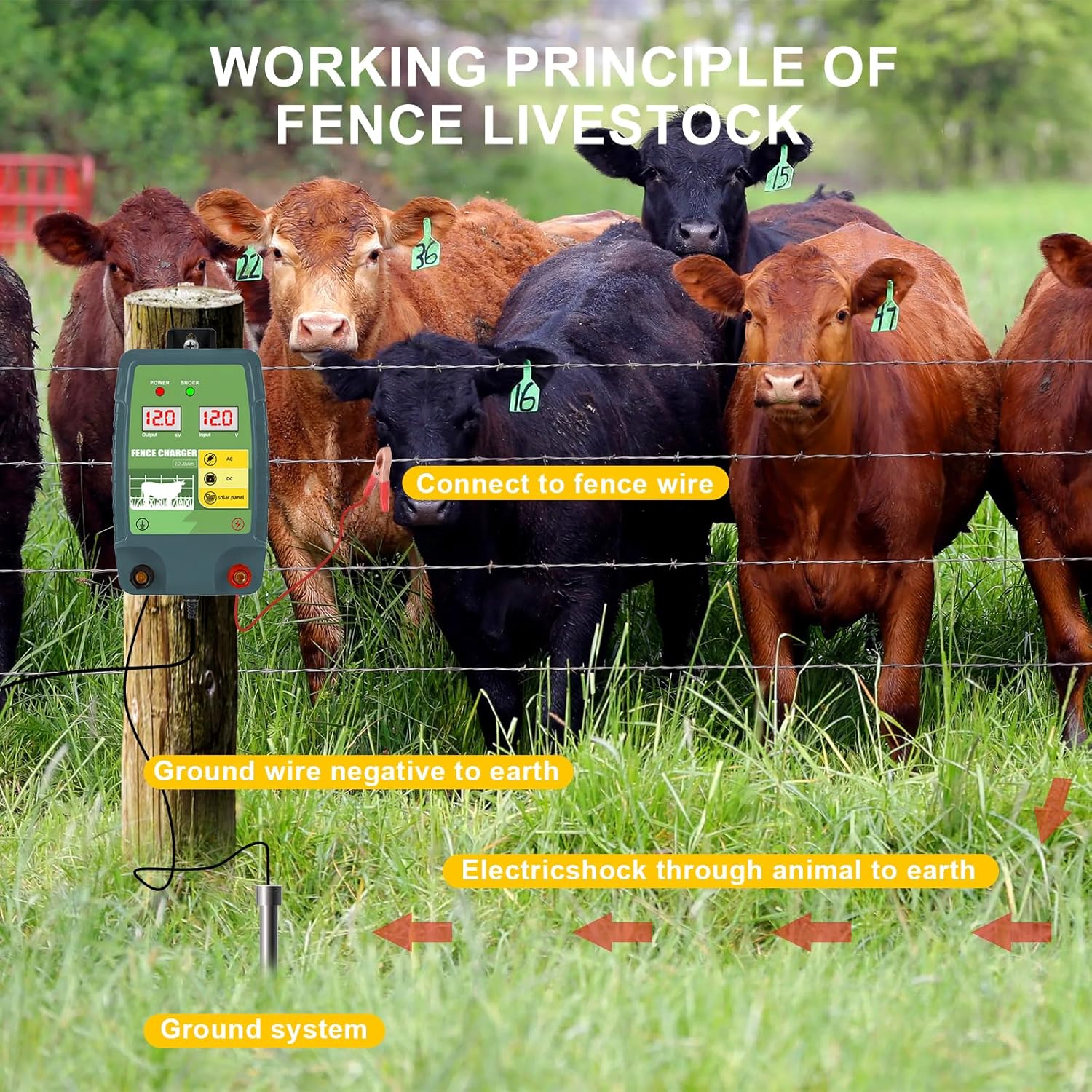 12KM แรงดันไฟฟ้ารั้วไฟฟ้า Ener - Livestock Fence Energizer 12V บทวิจารณ์และราคา