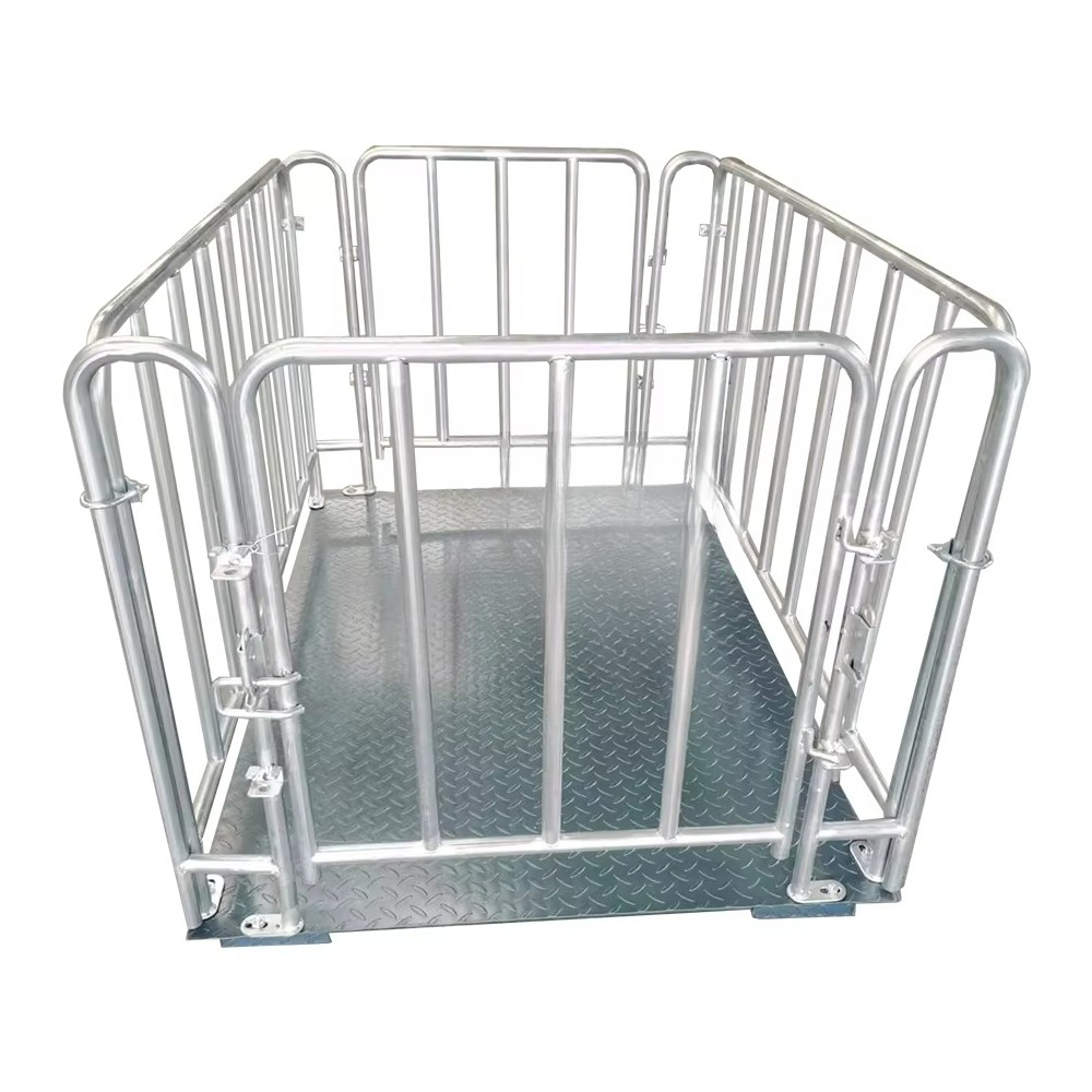 เครื่องชั่งน้ำหนักดิจิทัลสำหรั - Cattle Weighing Scale Digital บทวิจารณ์และราคา