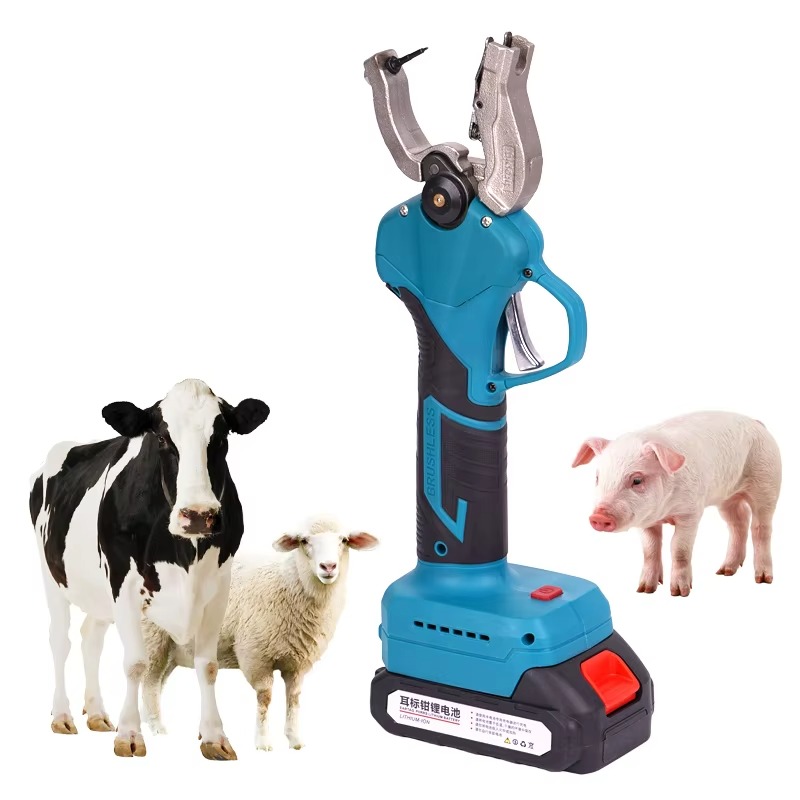 เครื่องติดแท็กหูสัตว์ เครื่องต - Cattle Ear Tag Applicator บทวิจารณ์และราคา