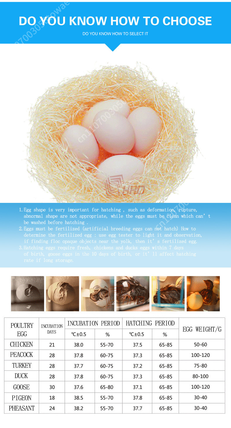 ตู้ฟักไข่อัตโนมัติ 96 ฟอง สำหร - Poultry Incubator 96 Eggs บทวิจารณ์และราคา