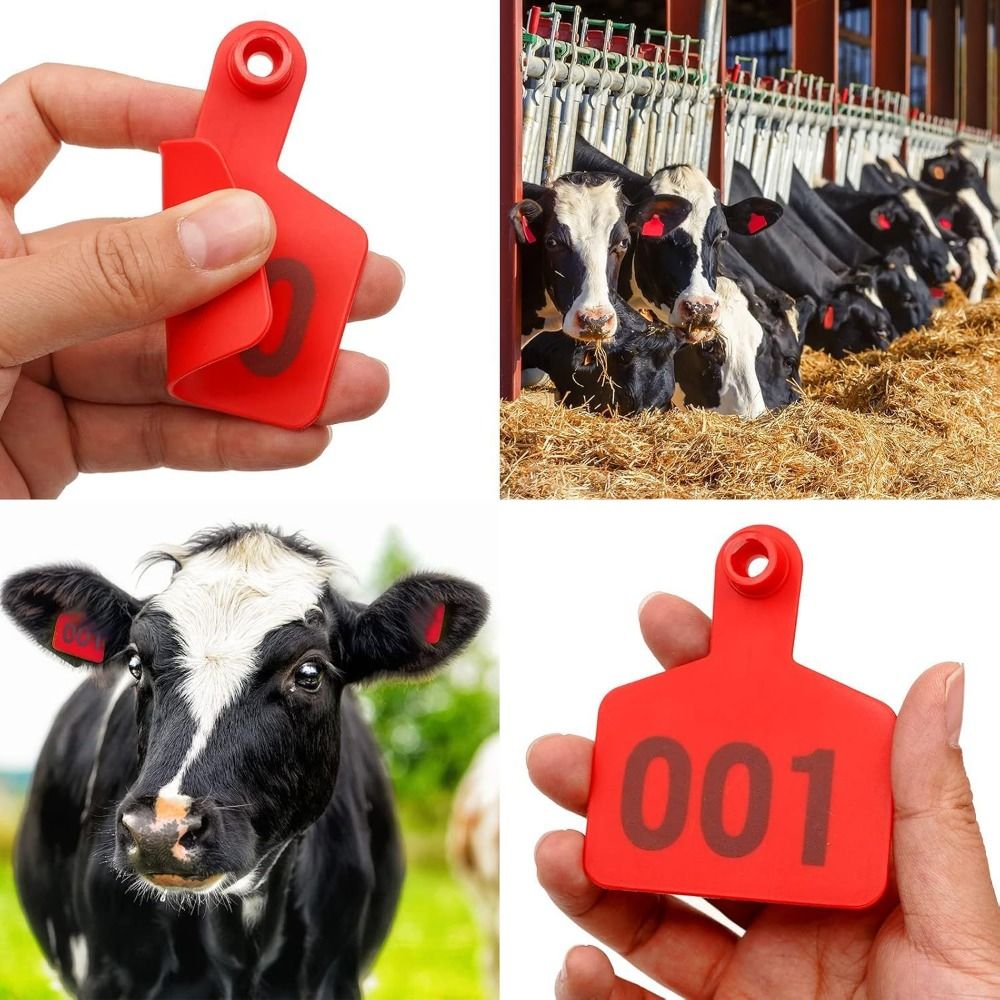ป้ายหูวัว 100 ชิ้น หมายเลข 001 - Cattle Ear Tag Applicator บทวิจารณ์และราคา