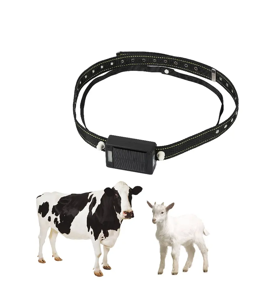 เครื่องติดตาม GPS สำหรับฟาร์มอ - Animal Gps Tracker 4G Solar บทวิจารณ์และราคา
