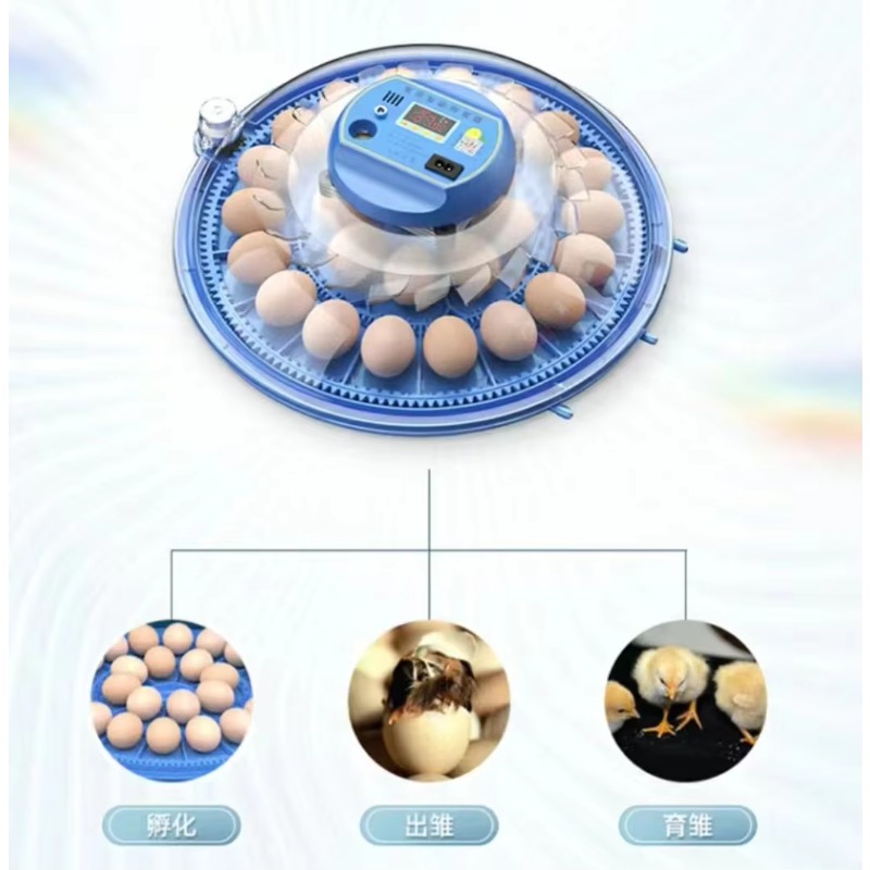 ตู้ฟักไข่ไก่เฉียนฉิน 20/24/36/ - Poultry Incubator 96 Eggs บทวิจารณ์และราคา