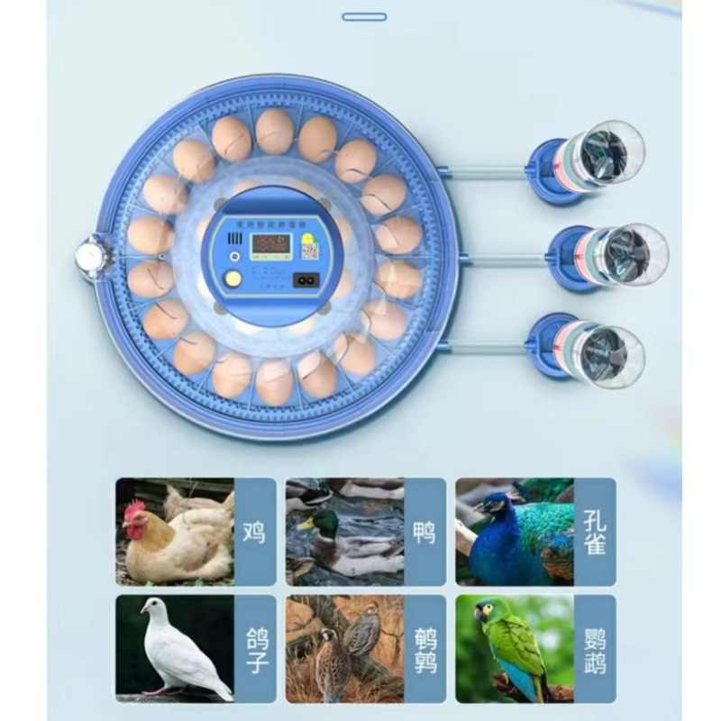 ตู้ฟักไข่ไก่เฉียนฉิน 20/24/36/ - Poultry Incubator 96 Eggs บทวิจารณ์และราคา