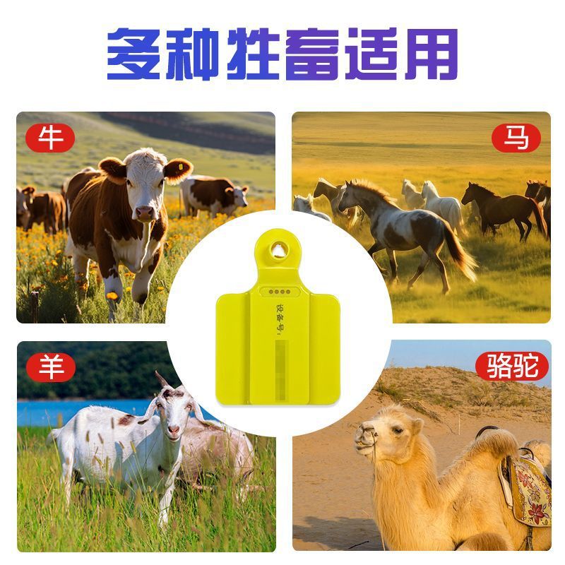 เครื่องติดตามสัตว์แบบติดหู 4G  - Livestock Ear Tag Gps Tracker บทวิจารณ์และราคา