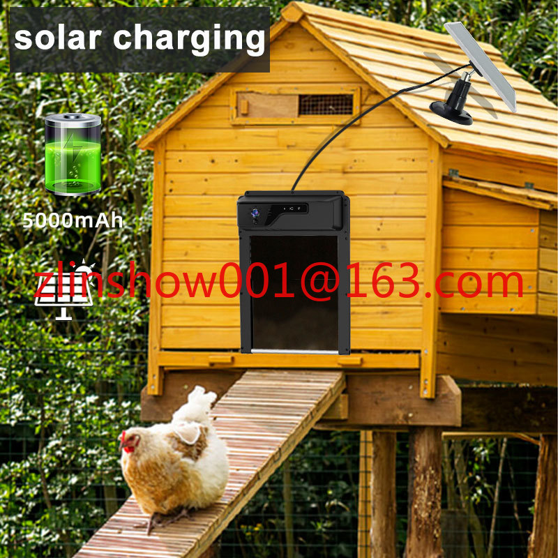 ที่เปิดประตูเล้าไก่ควบคุมระยะไ - Automatic Chicken Door Opener Solar บทวิจารณ์และราคา