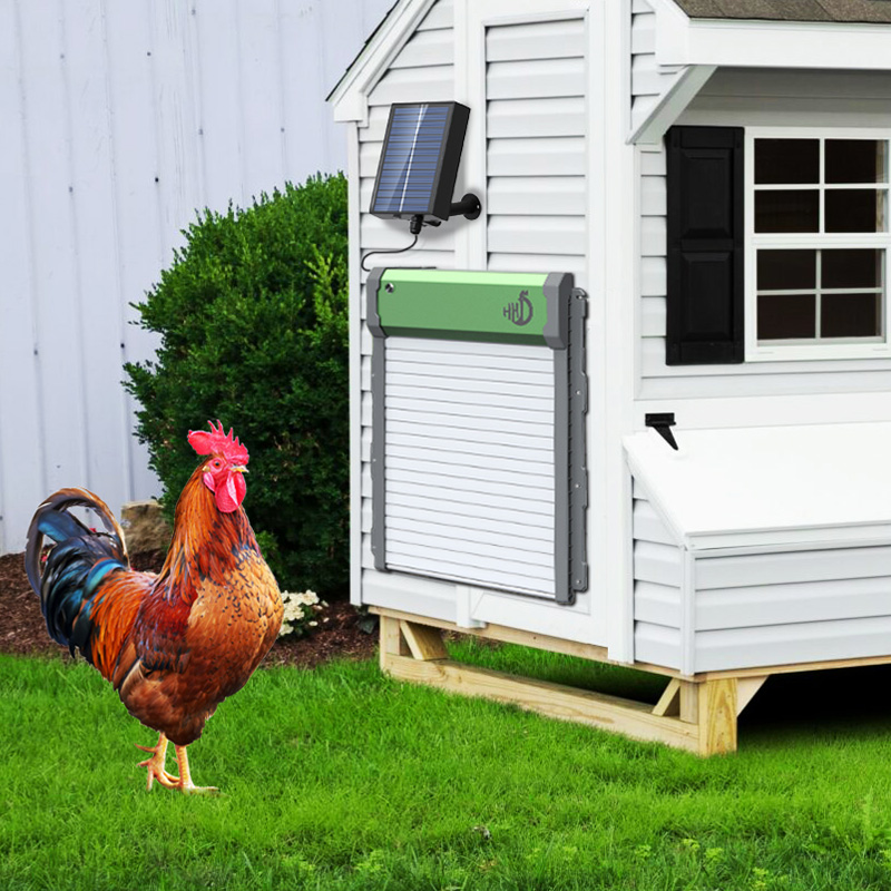 HHD ประตูเล้าไก่แบบเปิด-ปิดอัต - Automatic Chicken Door Opener Solar บทวิจารณ์และราคา