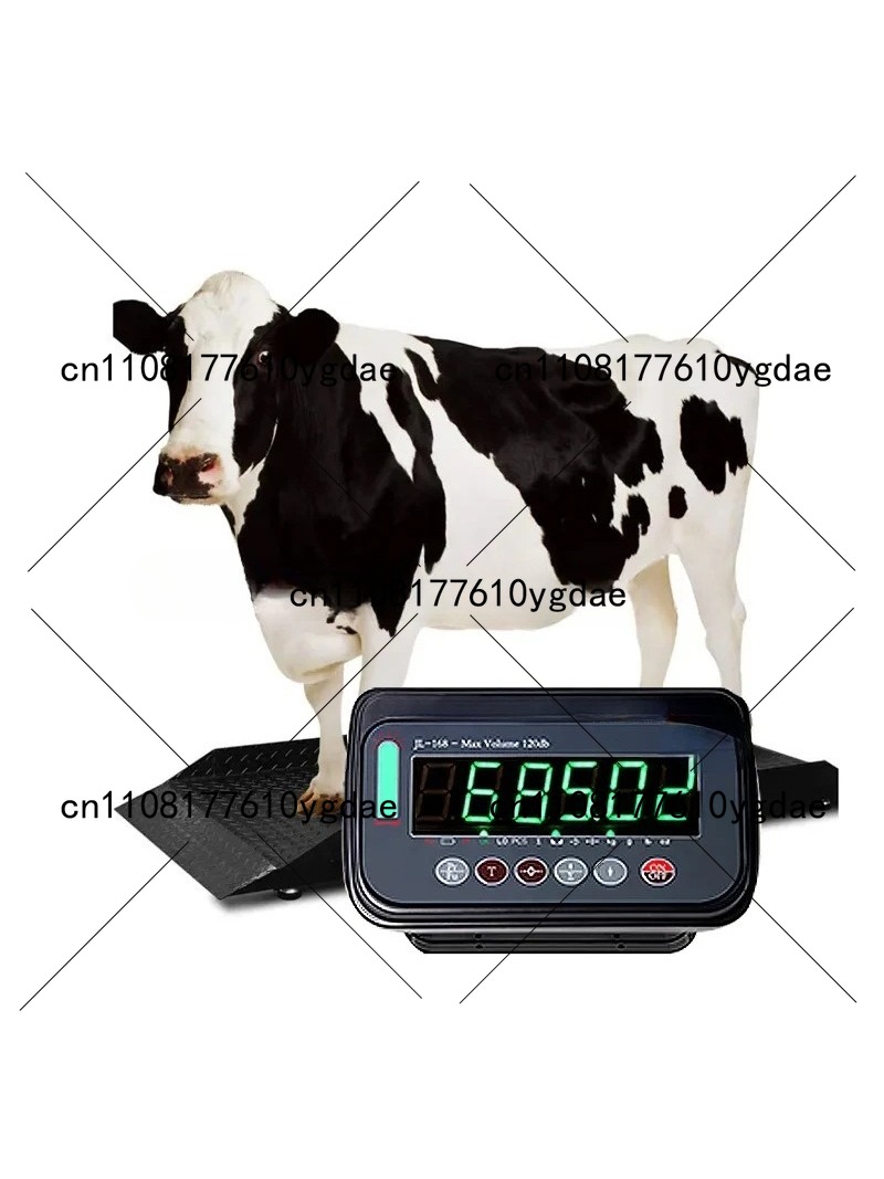 เครื่องชั่งดิจิตอล 2 ตัน พร้อม - Cattle Weighing Scale Digital บทวิจารณ์และราคา