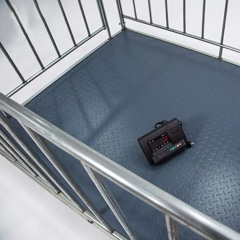 เครื่องชั่งน้ำหนักแบบดิจิตอล 1 - Cattle Weighing Scale Digital บทวิจารณ์และราคา