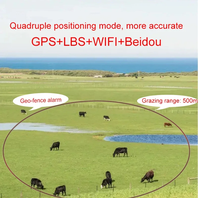 RF-V26 2G เครื่องติดตาม GPS พล - Animal Gps Tracker 4G Solar บทวิจารณ์และราคา