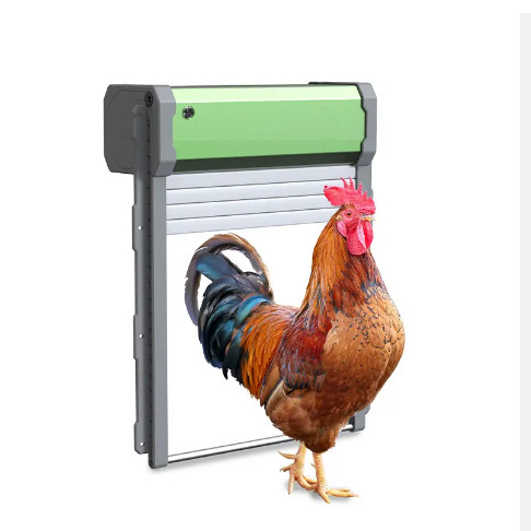 ประตูเล้าไก่อัตโนมัติ ใช้พลังง - Automatic Chicken Door Opener Solar บทวิจารณ์และราคา
