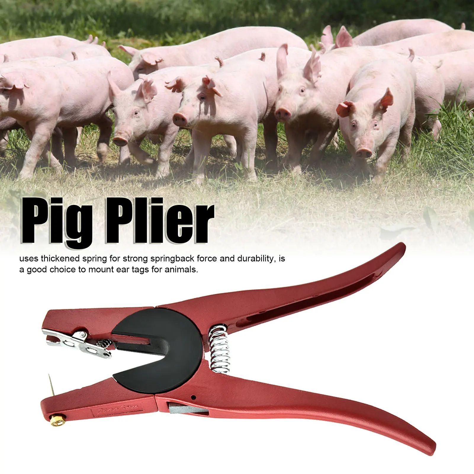 คีมติดป้ายหูสัตว์สีแดง ทำจากโล - Cattle Ear Tag Applicator บทวิจารณ์และราคา