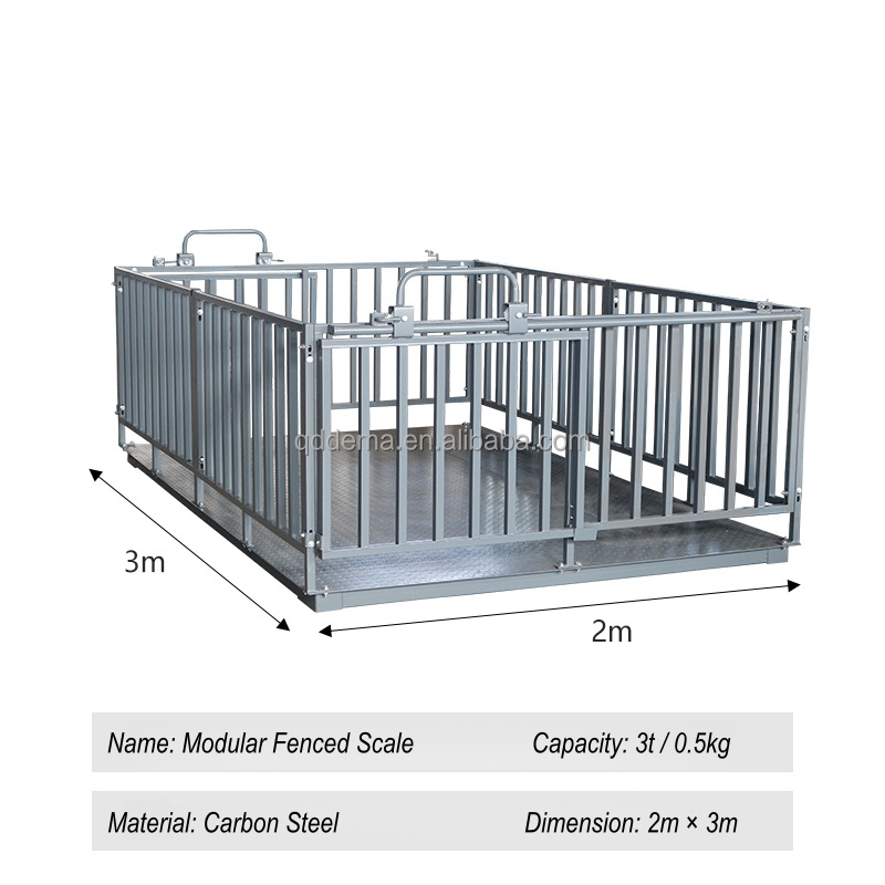 เครื่องชั่งน้ำหนักปศุสัตว์แบบม - Cattle Weighing Scale Digital บทวิจารณ์และราคา