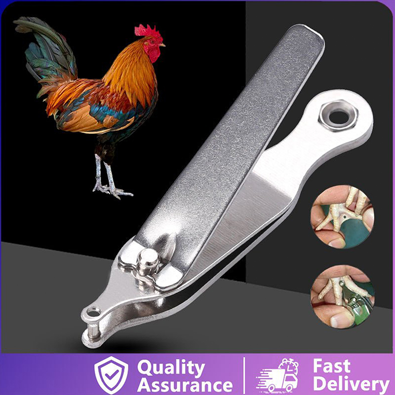 เครื่องมือทำเครื่องหมายติดเท้า - Cattle Ear Tag Applicator บทวิจารณ์และราคา