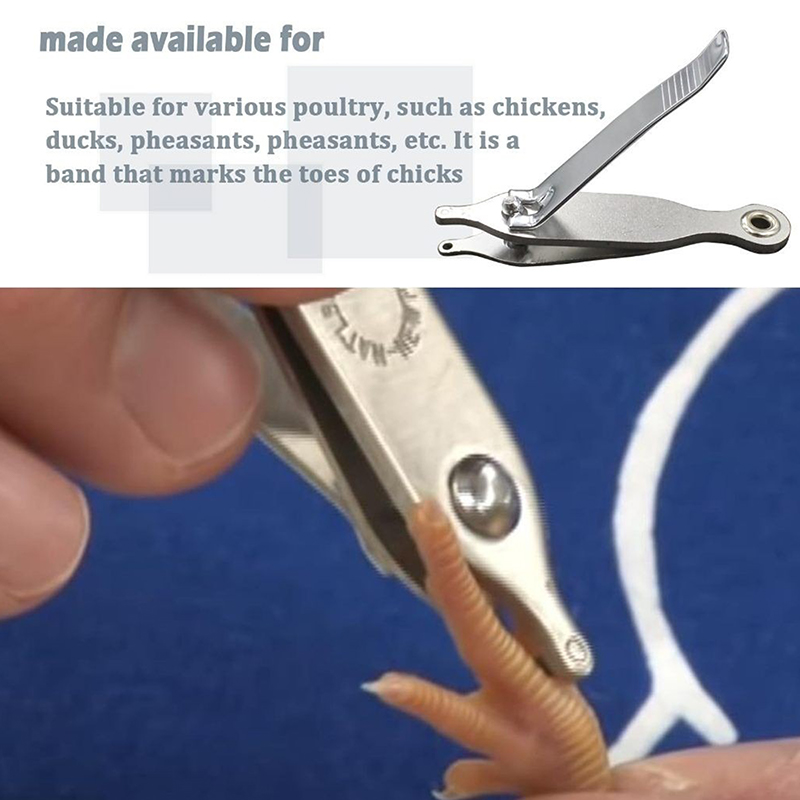 เครื่องมือทำเครื่องหมายติดเท้า - Cattle Ear Tag Applicator บทวิจารณ์และราคา