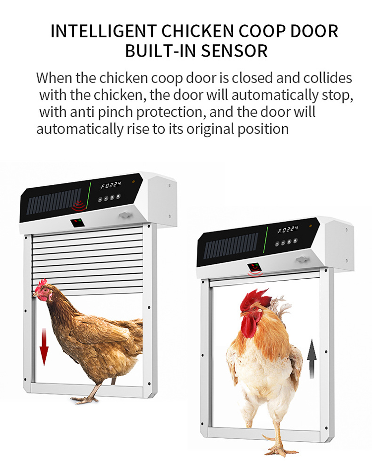 ประตูเล้าไก่เปิด-ปิดอัตโนมัติ  - Automatic Chicken Door Opener Solar บทวิจารณ์และราคา