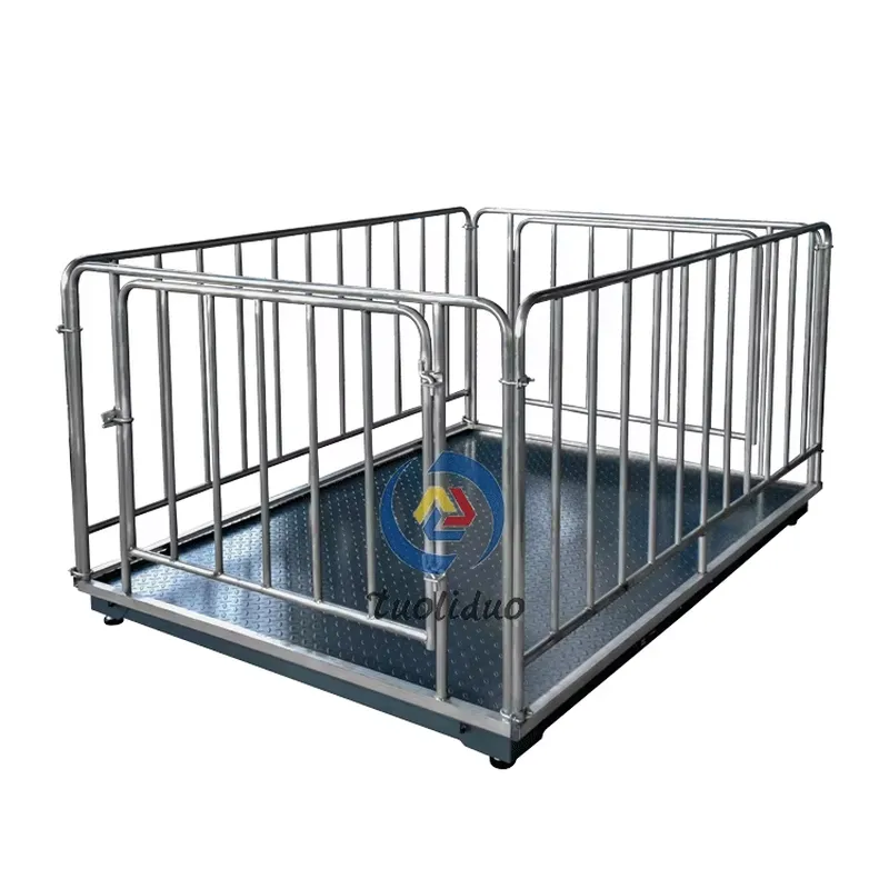 เครื่องชั่งดิจิตอลสำหรับปศุสัต - Cattle Weighing Scale Digital บทวิจารณ์และราคา