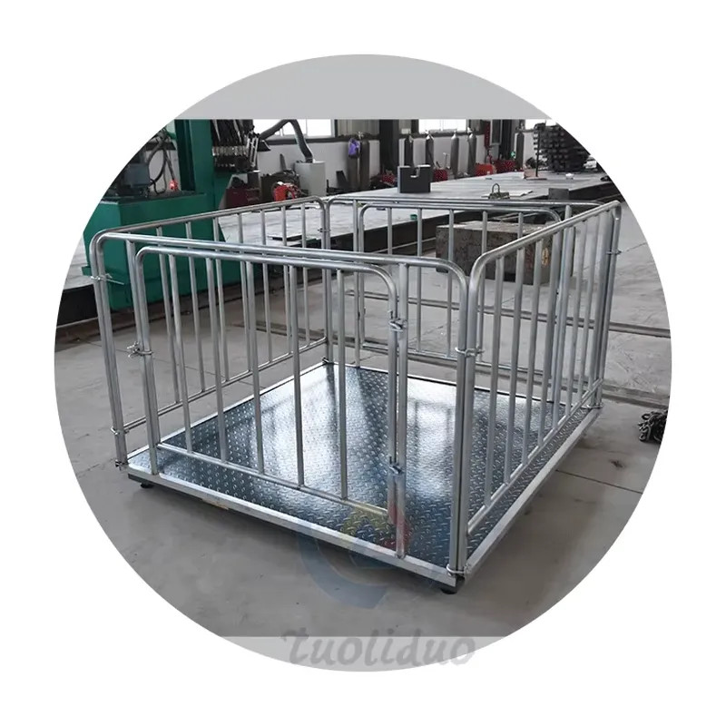 เครื่องชั่งดิจิตอลสำหรับปศุสัต - Cattle Weighing Scale Digital บทวิจารณ์และราคา