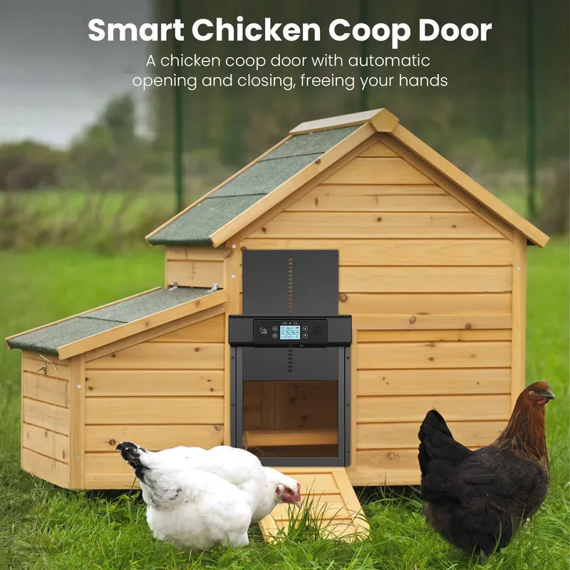ประตูเล้าไก่แบบอัตโนมัติอัจฉริ - Automatic Chicken Door Opener Solar บทวิจารณ์และราคา